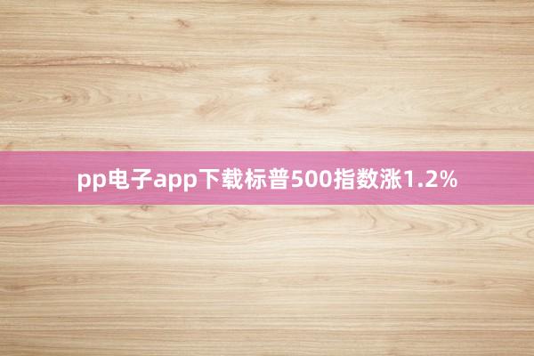 pp电子app下载标普500指数涨1.2%