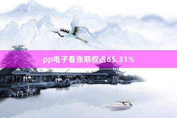 pp电子看涨期权占65.31%